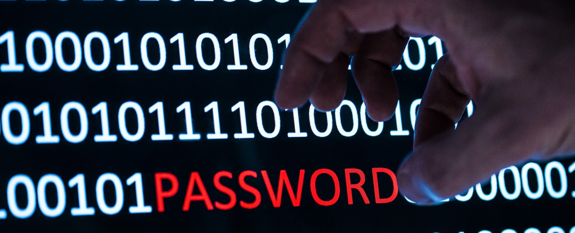 Albania, Azerbaijan, Bosnia-Herzegovina, Kazakhstan, Kyrgyzstan, Macedonia, Montenegro, and Serbia – all countries Inzpire has trained in Cyber Security and Resilience. 