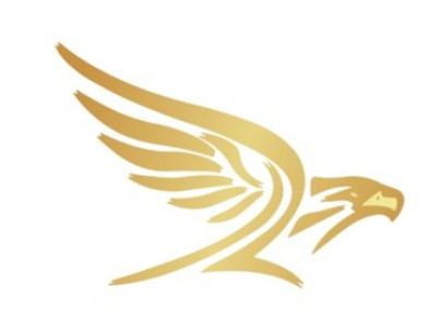 Inzpire will use DSEI 2017 to announce its new partnership with the Golden Eagle Aviation Academy (GEAA) in Jordan