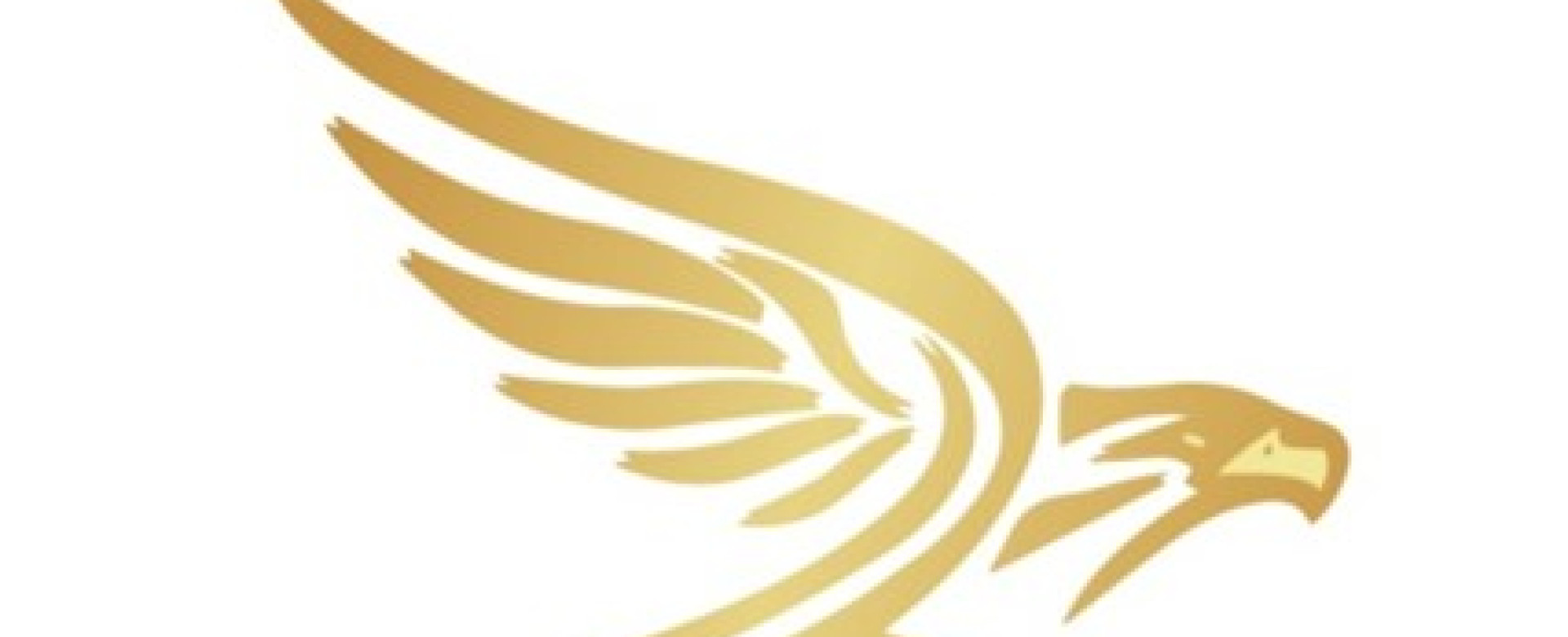 Inzpire will use DSEI 2017 to announce its new partnership with the Golden Eagle Aviation Academy (GEAA) in Jordan