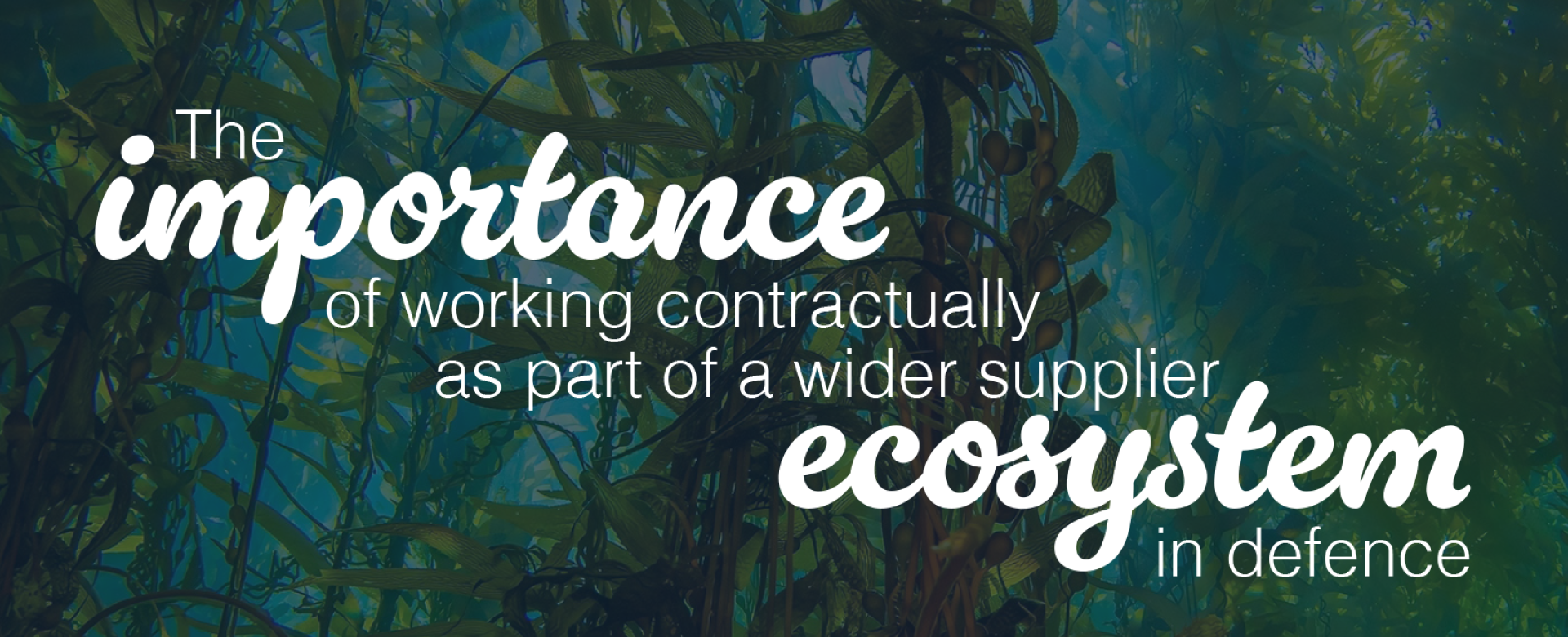 Working as part of a wider supplier ecosystem is fundamental to achieving strategic objectives, maintaining operational efficiency, and ensuring robust defence capabilities.