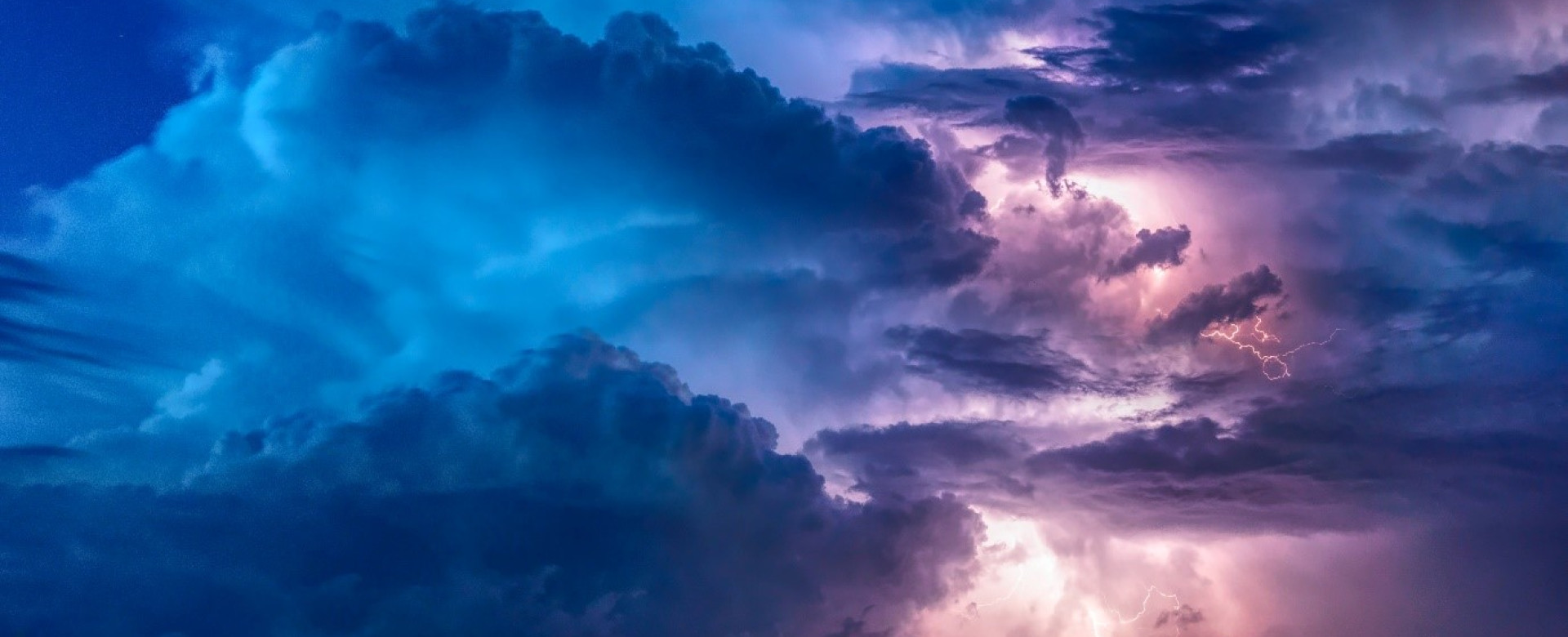 Autumn has given way to winter and we find ourselves in the dog days of 2020. It is not a year that most of us at Inzpire will remember with undiluted joy.