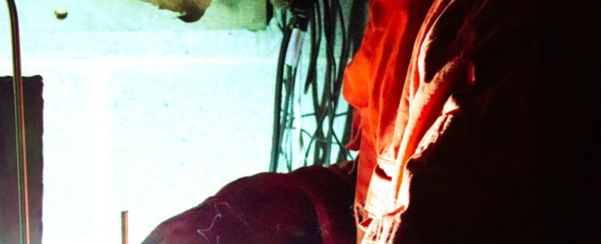 I have a theory - most people are afraid of what they cannot see; the 'invisible'...