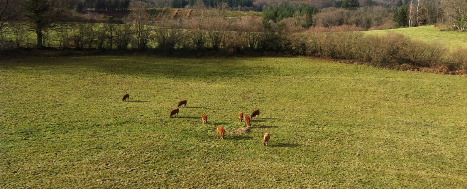 The world is a strange – and scary – place to be right now, but as always the health and wellbeing of the Inzpire staff is of paramount importance.