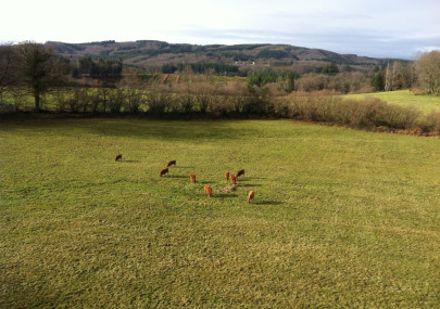 The world is a strange – and scary – place to be right now, but as always the health and wellbeing of the Inzpire staff is of paramount importance.