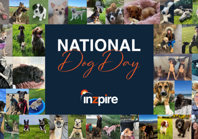 In honour of National Dog Day on 26th August 2024, we thought we’d celebrate the happiness that our cute companions bring to the lives of the Inzpire team!