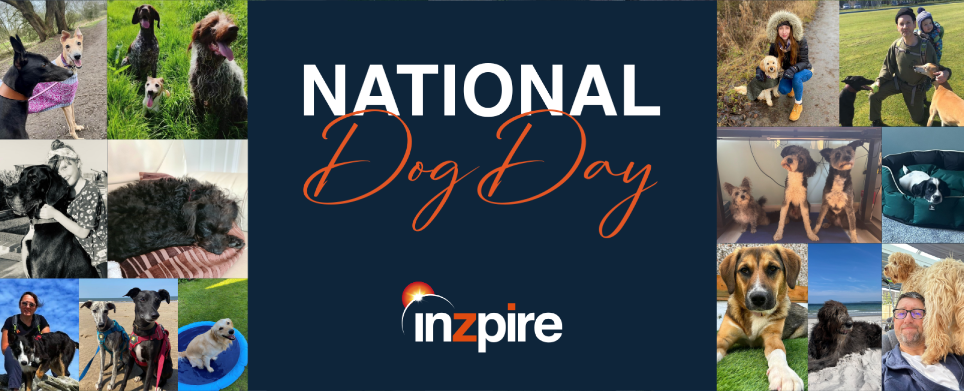 In honour of National Dog Day on 26th August 2024, we thought we’d celebrate the happiness that our cute companions bring to the lives of the Inzpire team!